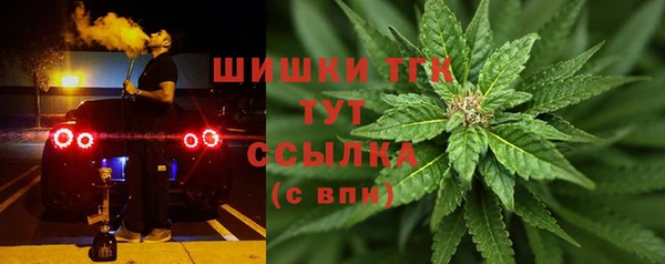 не бодяженный Гусев