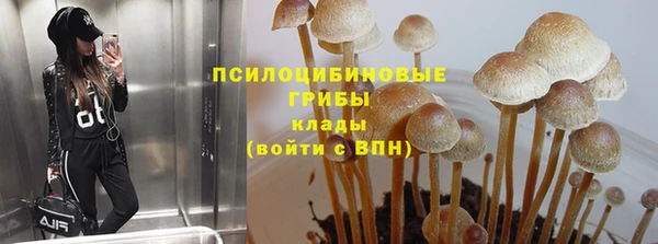 таблы Гусь-Хрустальный
