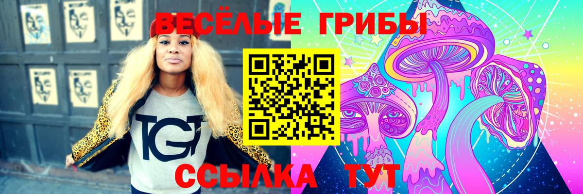 сколько стоит  Галлюциногенные грибы Psilocybine cubensis  Вход с VPN  Псилоцибиновые грибы Psilocybe  Ефремов 